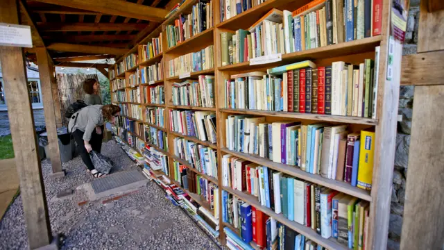 People browsing books