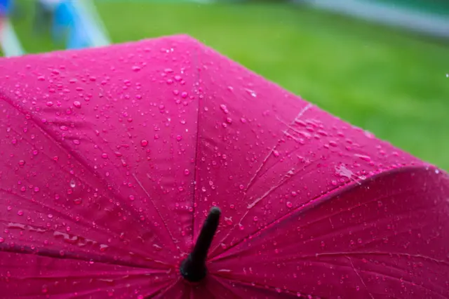 Raindrops on a Hay Festival umbrella
