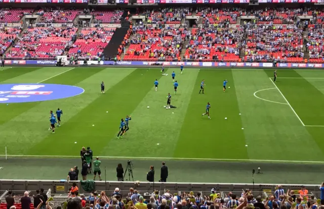 Wembley pitch