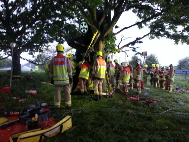 Firefighters by tree