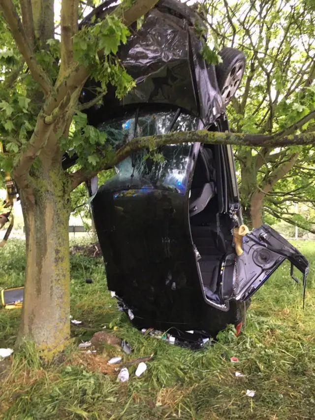 Car in tree