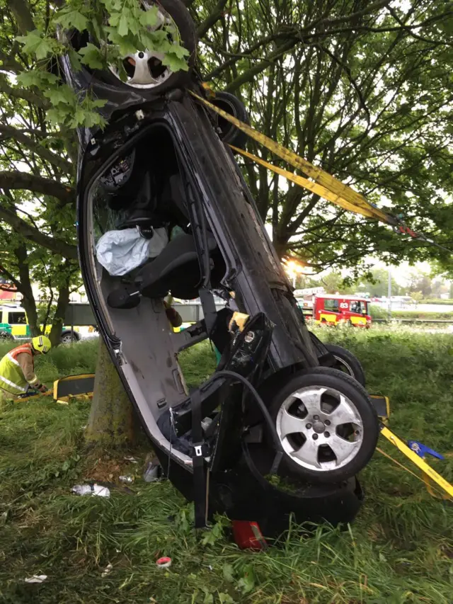 Car in tree