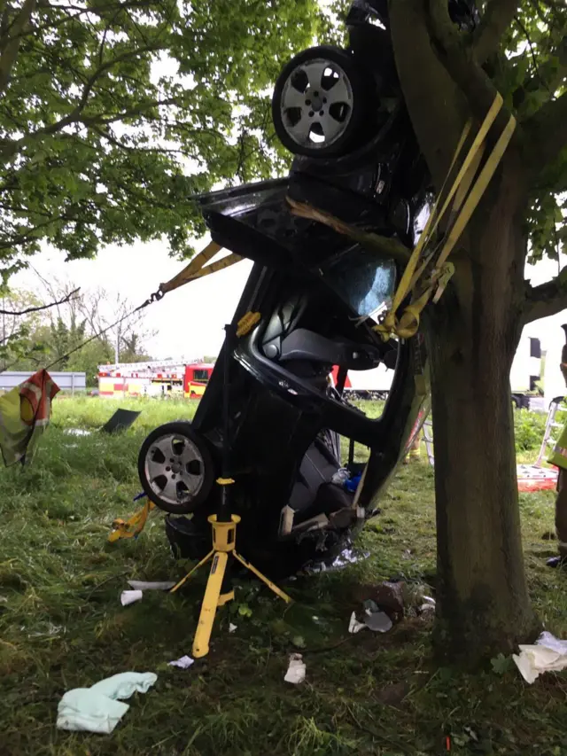 Car in tree