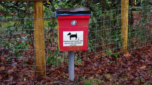 Dog bin