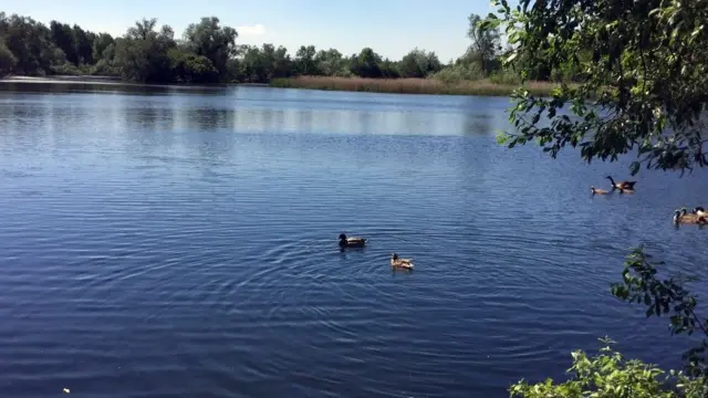 Lake at Lee Valley Park