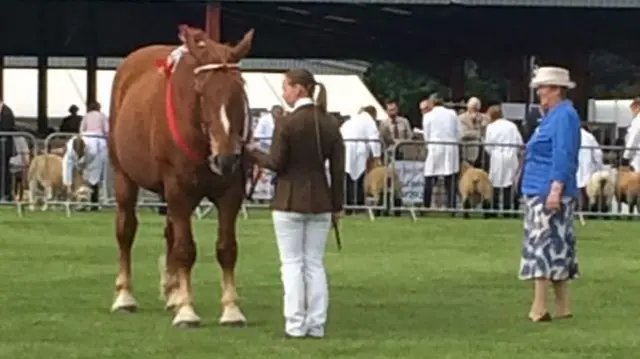 Judging in the President's Ring