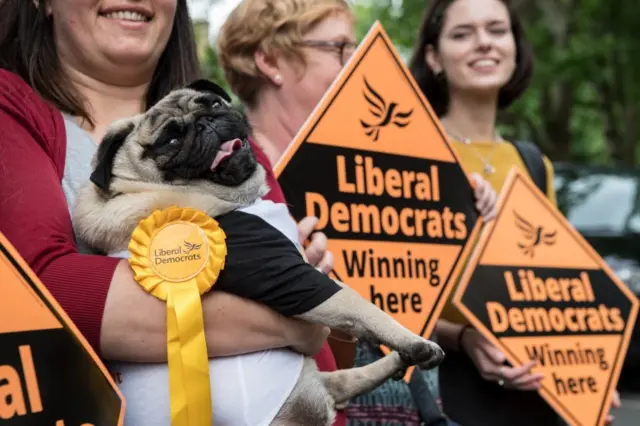 Pug on the campaign trail