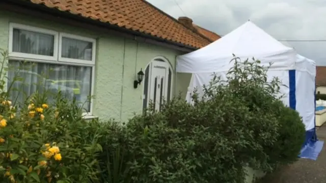 White tent outside green bungalow