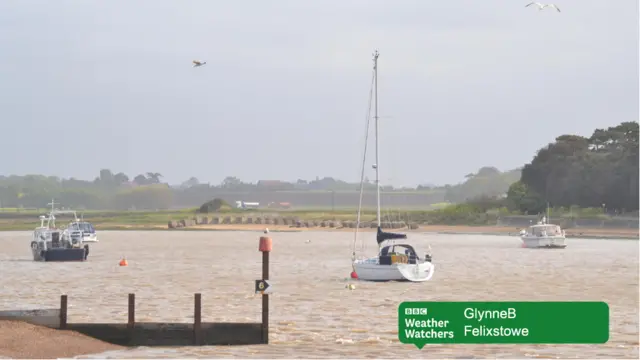 Yachts in Felixstowe