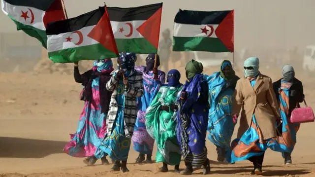 People waving Western Sahara flags