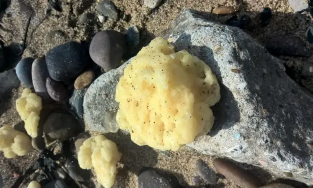 Parafin wax