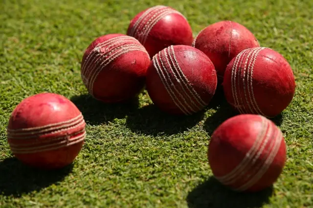 Cricket balls