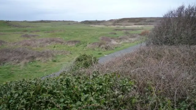 Longis Common