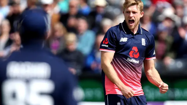David Willey