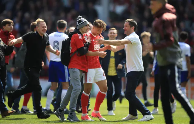 Forest celebrate