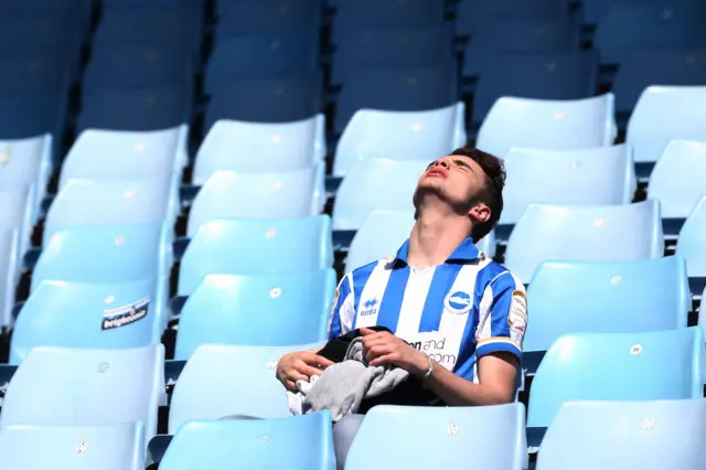 Brighton fan