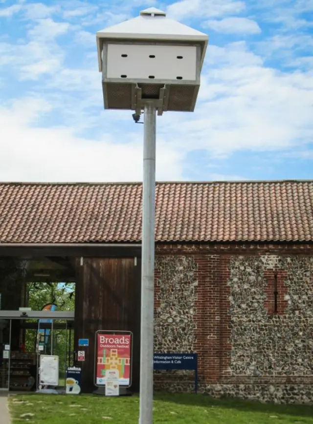 The swift tower in Whitlingham Park