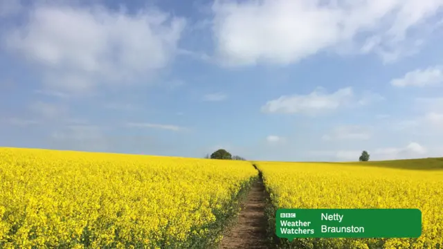 Fields in Braunston.