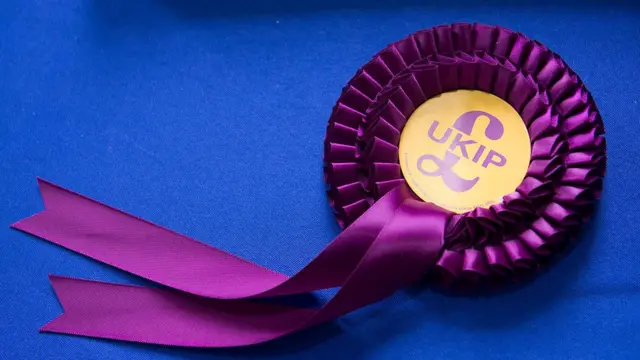 UKIP rosette