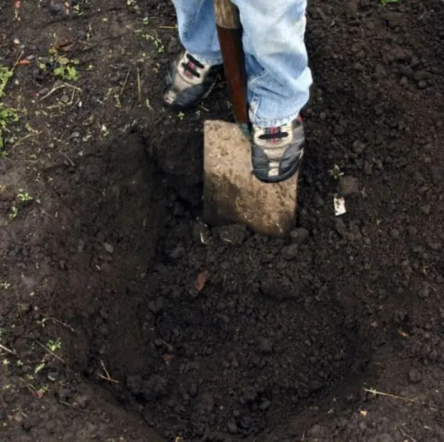 compost