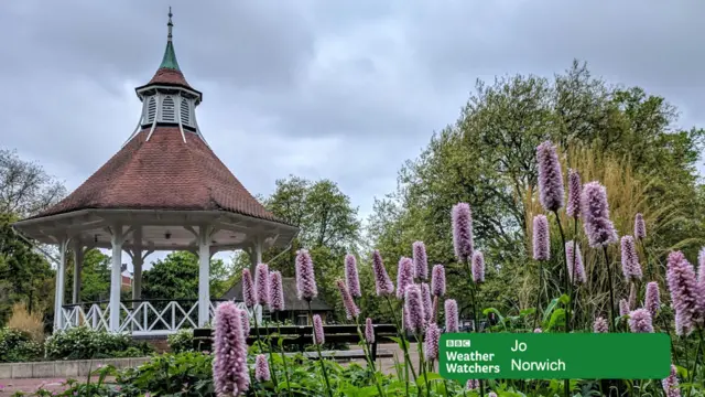 Cone-shaped flowers with bandstand in a park