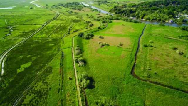 Aerial view of Carlton Marshes