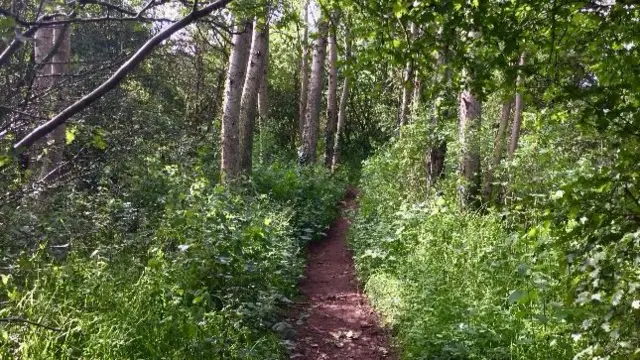 Footpath near Newport