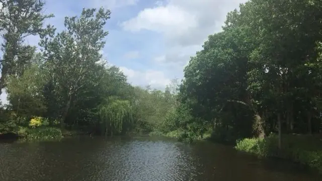 River near Badger