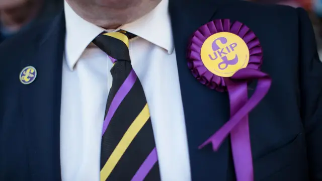 UKIP supporter pictured wearing a UKIP branded tie, badge and rosette