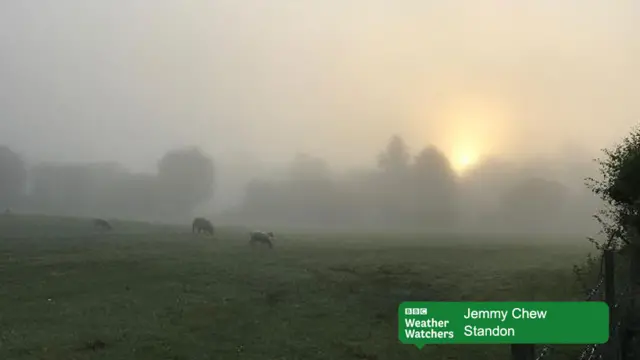 Weather Watchers picture