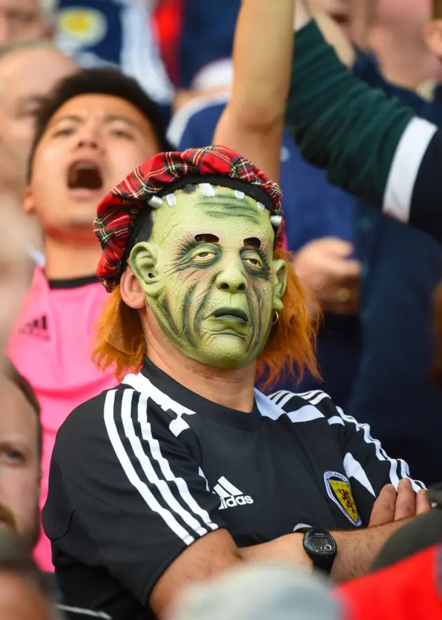 Scotland fan