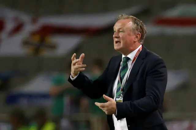 Michael O'Neill gestures