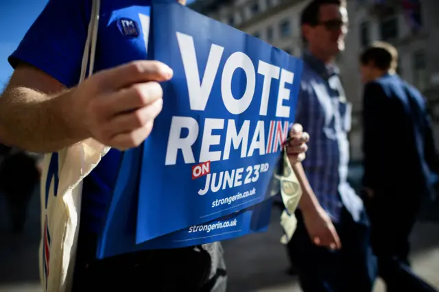 Vote remain sign