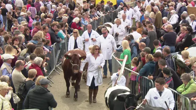 Royal Cornwall Show