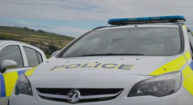 Police car in fields