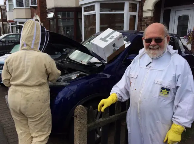 Bees are being removed from a car in Hull