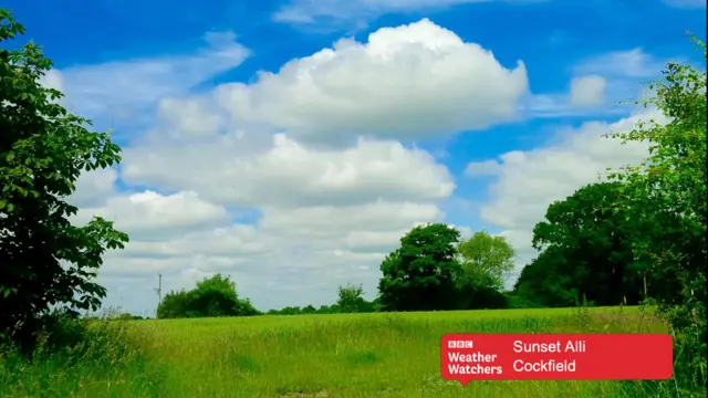 Bright blue sky above a field in Cockfield