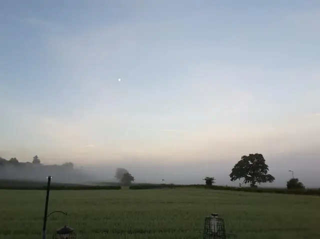 Mist on a field