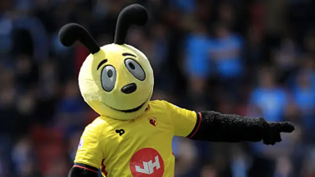 Harry the Hornet