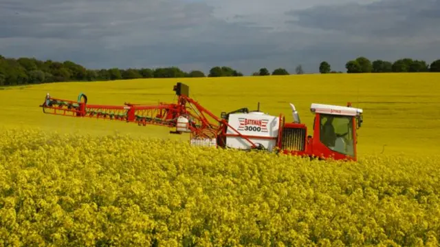 Farmer harvesting field