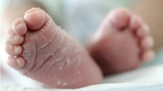 Babies feet