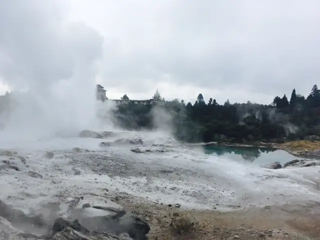 Geysers in Rotorua