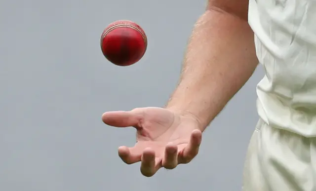 Cricket ball