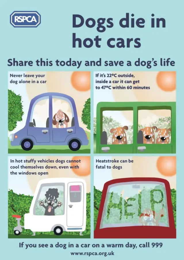 RSPCA message not to leave your dogs in cars in warm weather