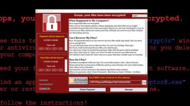 The WannaCry ransomware