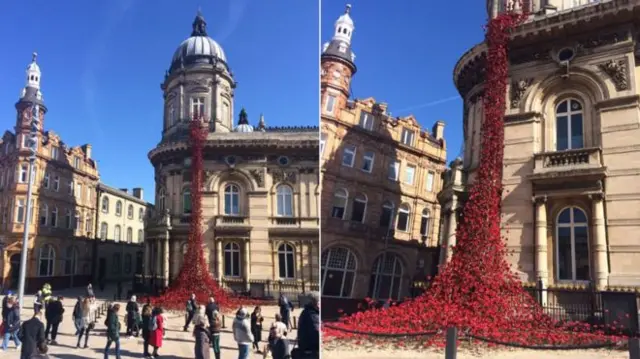 Poppy display