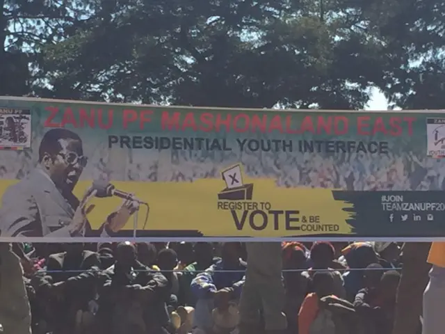 Mugabe poster