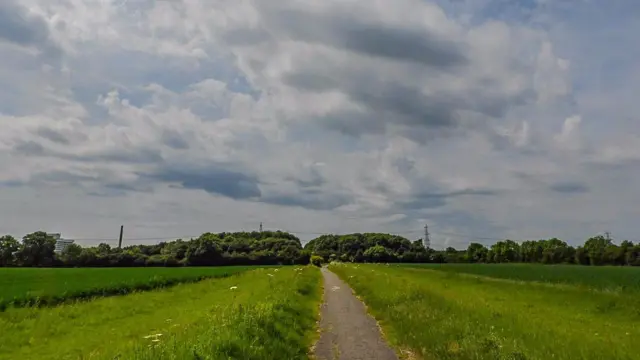 Field in Stevenage