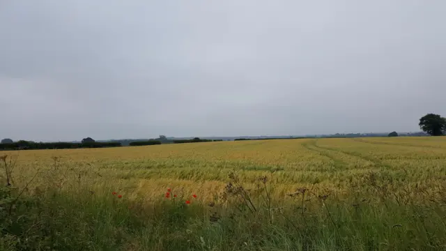 Farmers field in East Bridgford