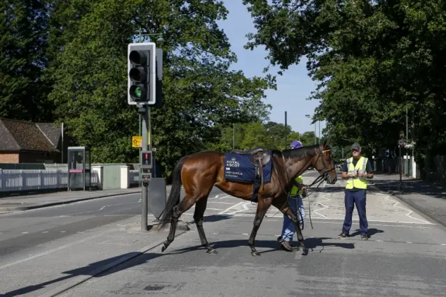 Lady Aurelia pictured outside Ascot racecourse in the build-up to the Royal meeting